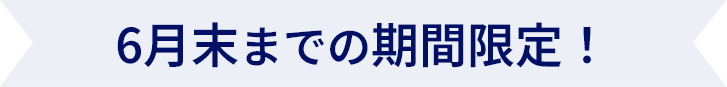 6月末までの期間限定!