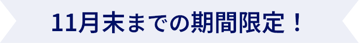 11月末までの期間限定！