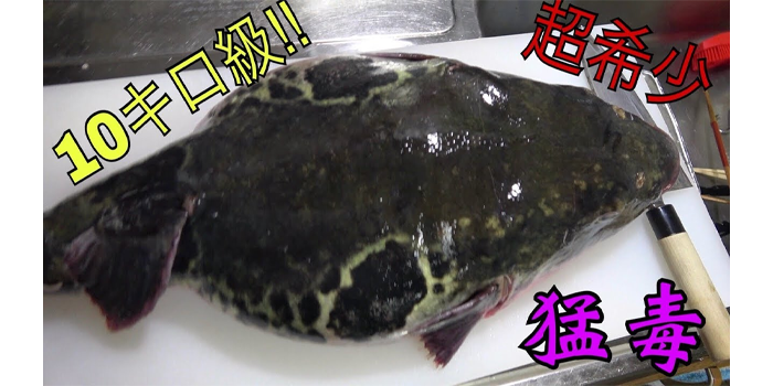 youtube 企画 考え方07