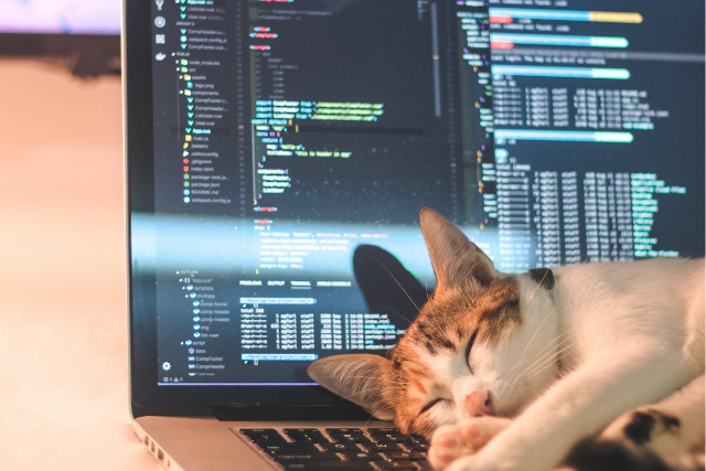 猫とコーディング