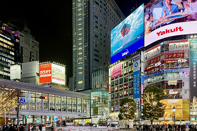 東京の夜景