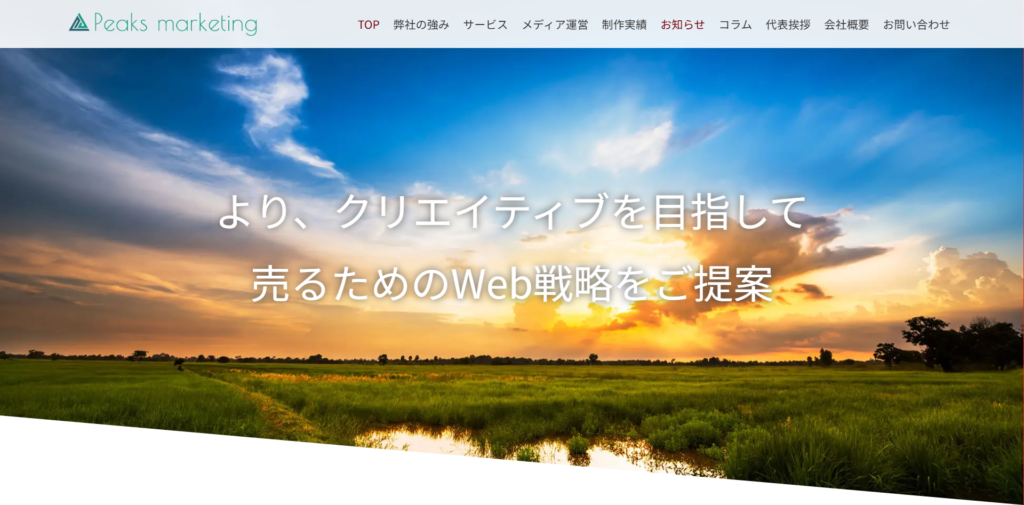 ピークスマーケティング株式会社