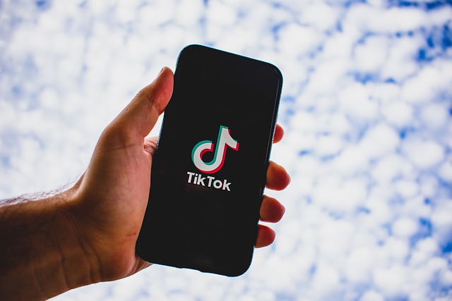 TikTokで成功している企業の共通点