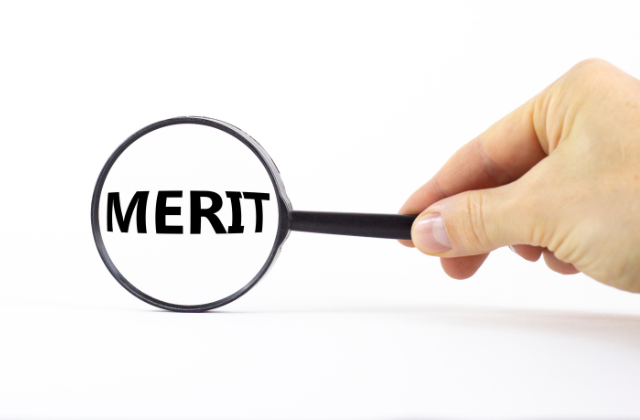 虫眼鏡でMERITを拡大