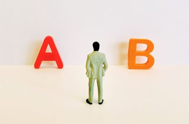 AとBの間で迷うミニチュア