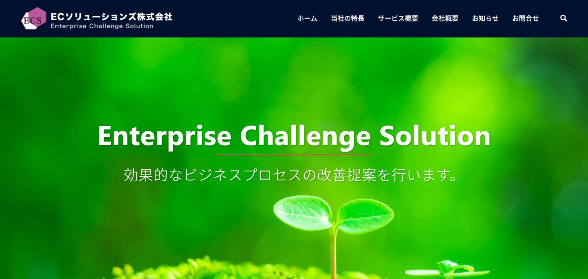 ECソリューションズ株式会社