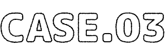 CASE.03
