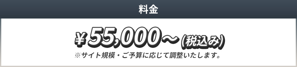 55,000円(税込)～