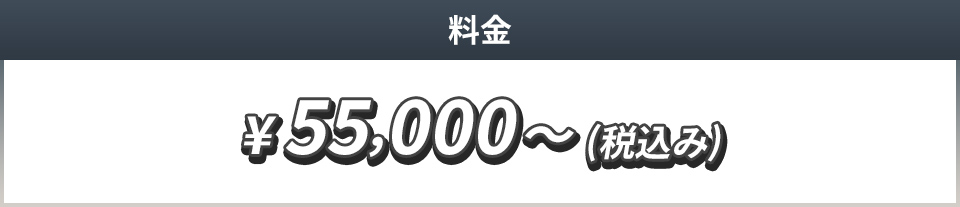 55,000円(税込)～
